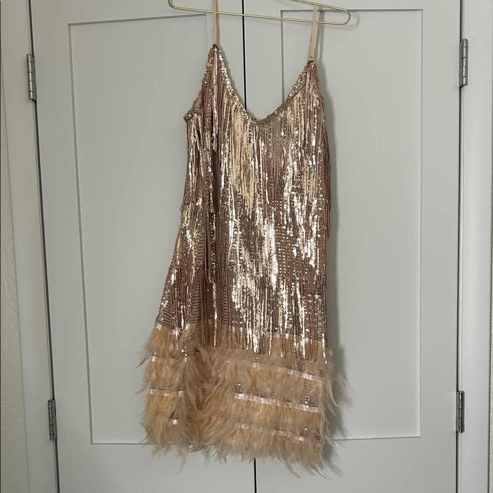 Sequin Fringe Dress